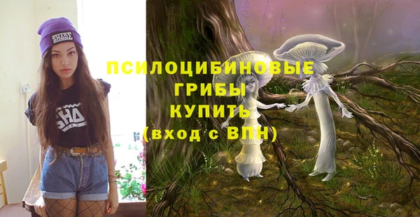 амф Алексеевка