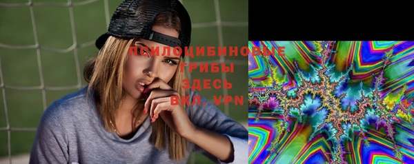 амф Алексеевка